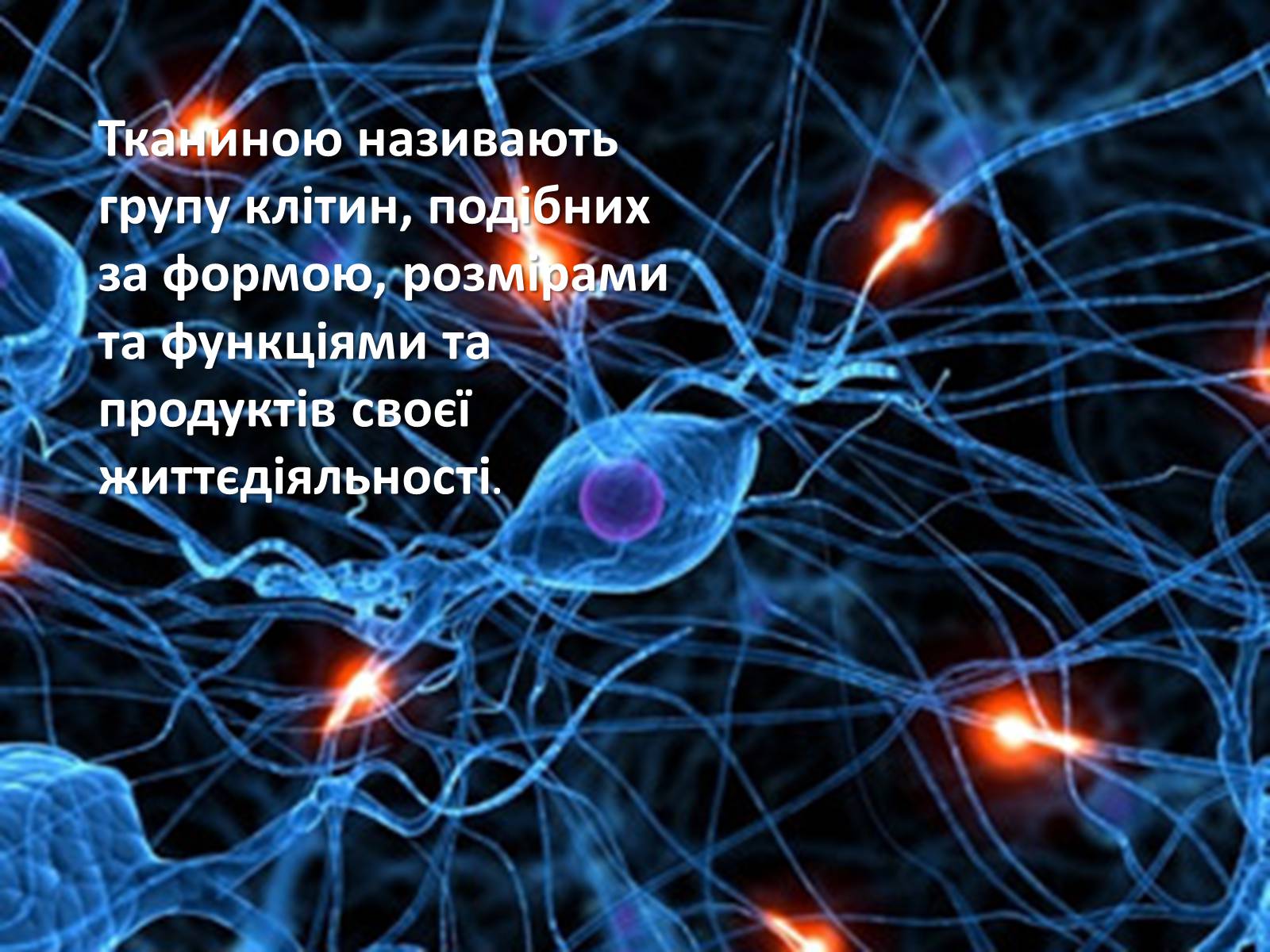 Презентація на тему «Гістологія» - Слайд #3