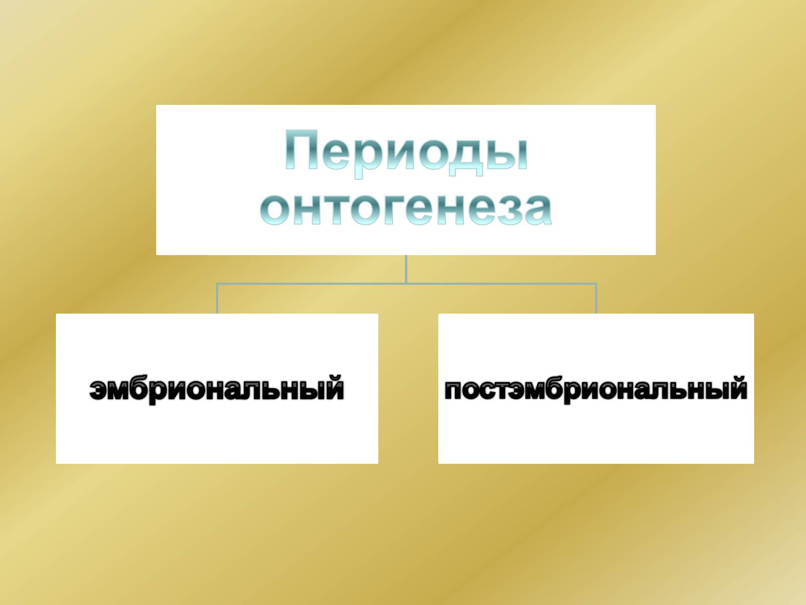 Презентація на тему «Индивидуальное развитие организмов» - Слайд #4