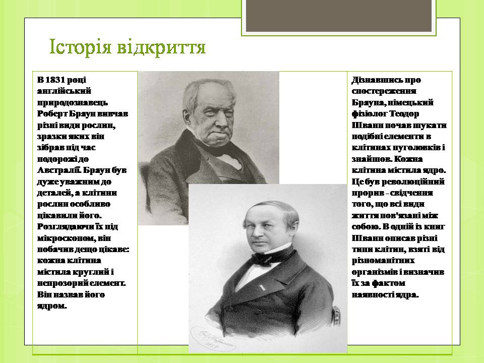 Презентація на тему «Клітинне ядро. Його значення та походження» - Слайд #6