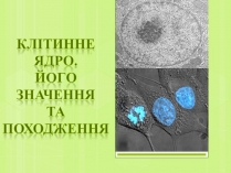 Презентація на тему «Клітинне ядро. Його значення та походження»