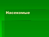 Презентація на тему «Насекомые» (варіант 1)