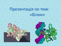 Презентація на тему «Білки» (варіант 10)