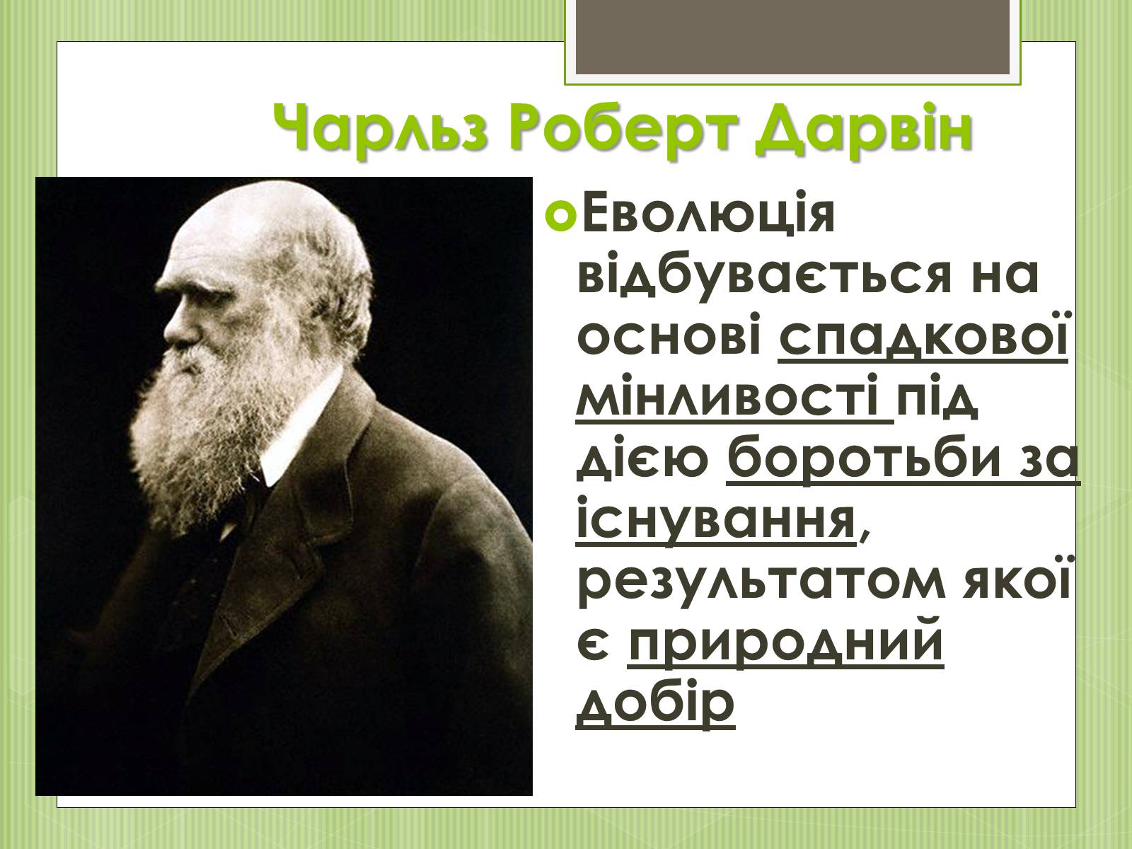 Презентація на тему «Еволюція» - Слайд #3