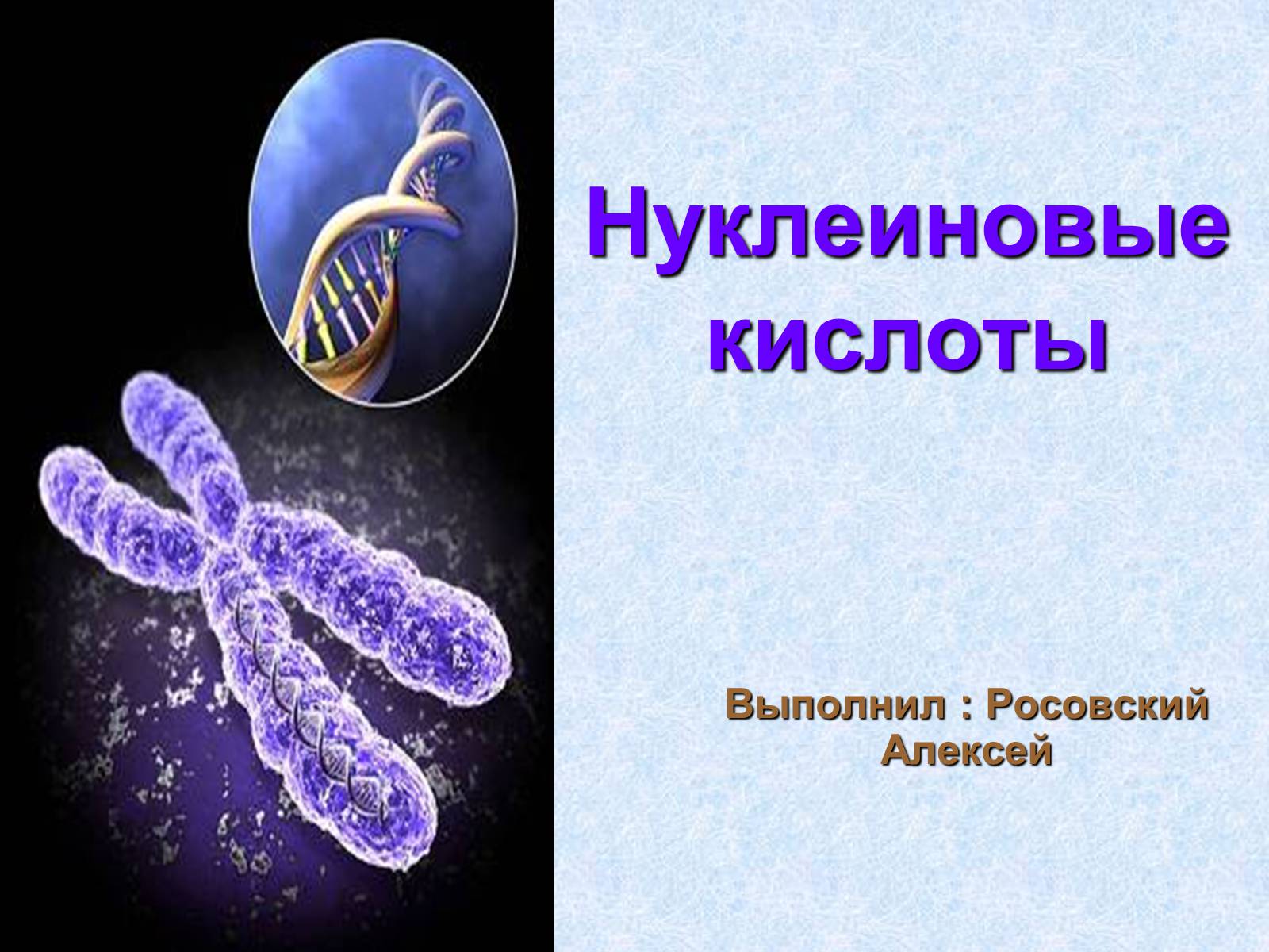 Презентація на тему «Нуклеиновые кислоты» - Слайд #1