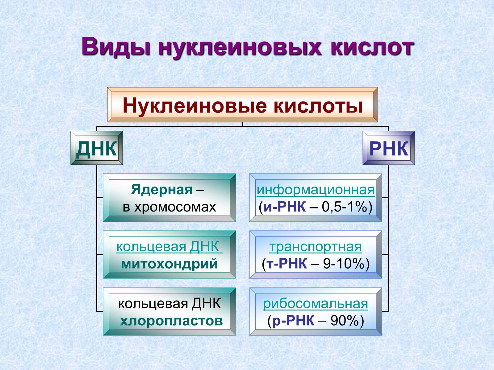 Презентація на тему «Нуклеиновые кислоты» - Слайд #11