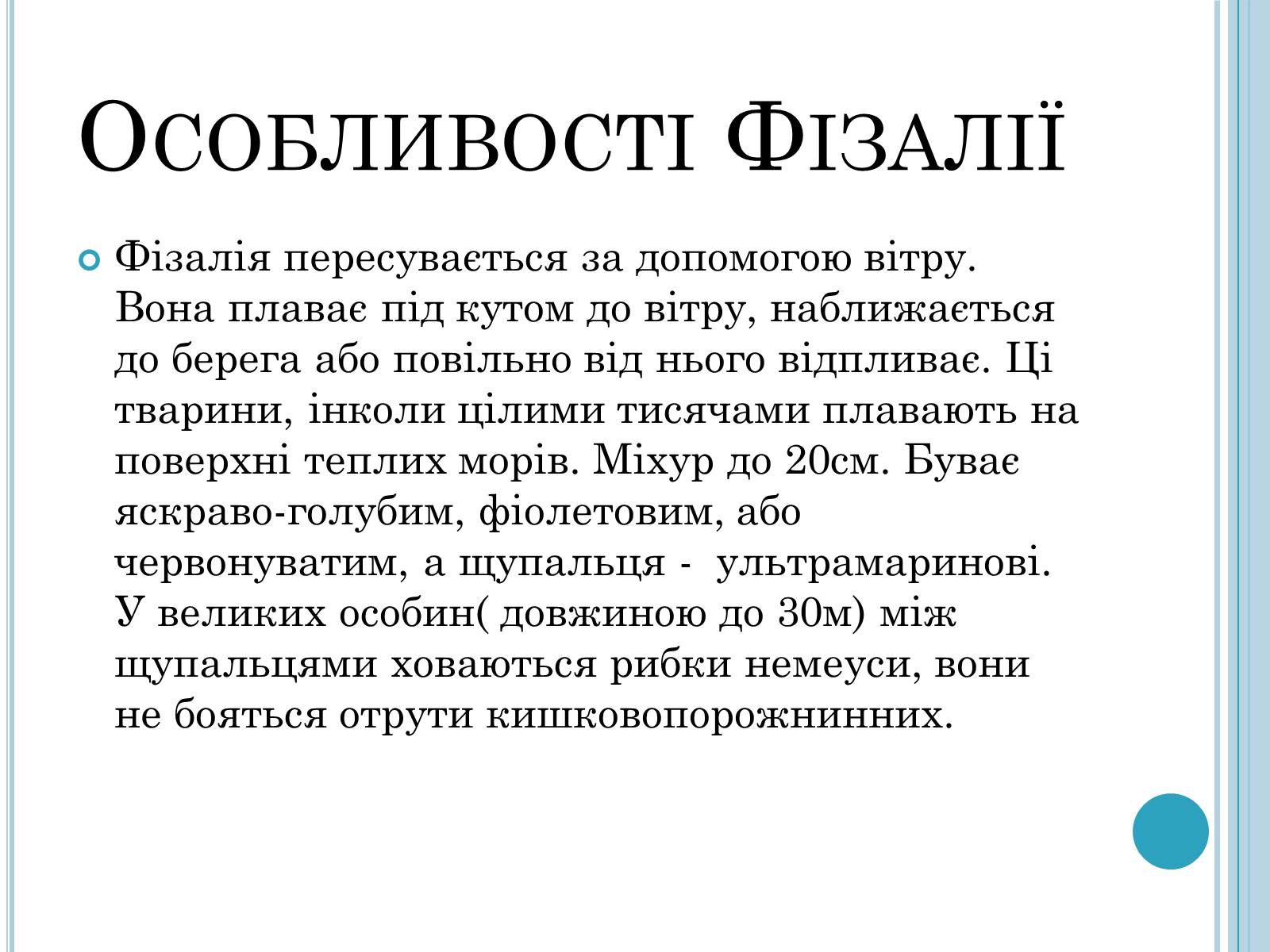 Презентація на тему «Кишковопорожнинні» (варіант 1) - Слайд #11