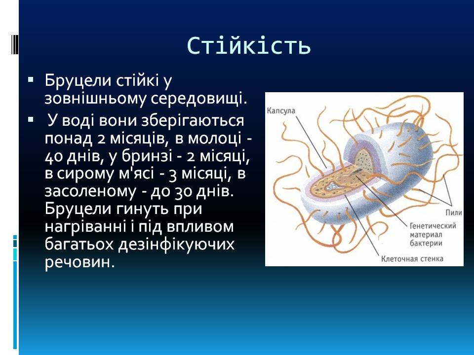 Презентація на тему «Бруцельоз» - Слайд #3