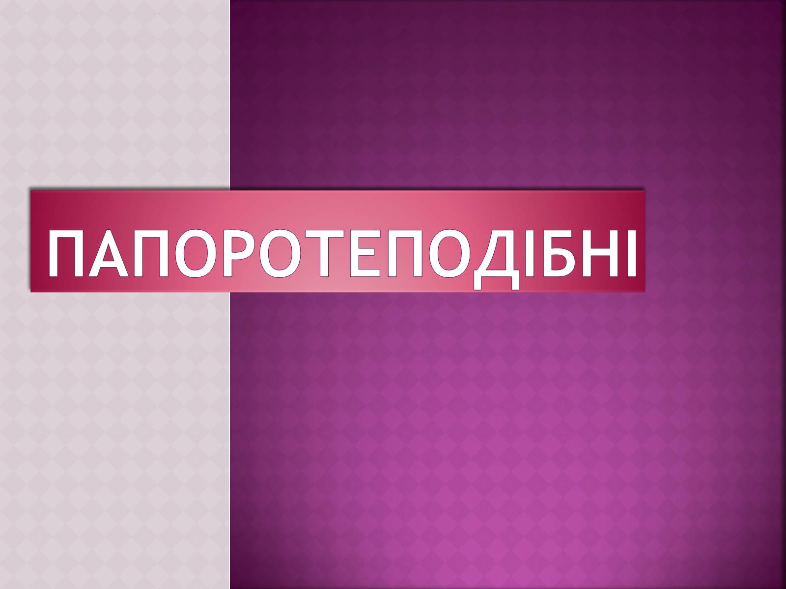 Презентація на тему «Папоротеподібні» (варіант 1) - Слайд #1