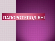 Презентація на тему «Папоротеподібні» (варіант 1)