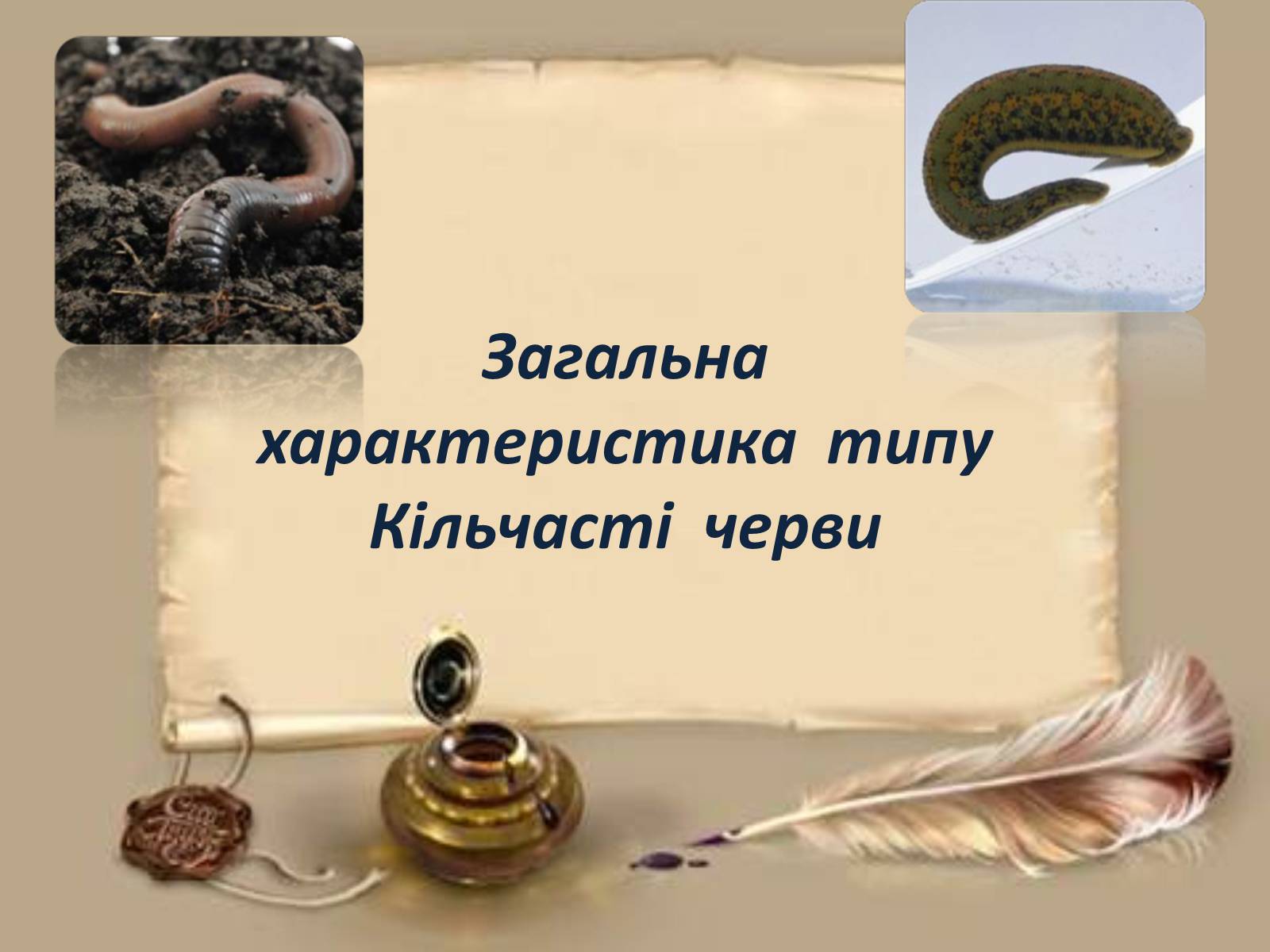 Презентація на тему «Загальна характеристика типу Кільчасті черви» - Слайд #1