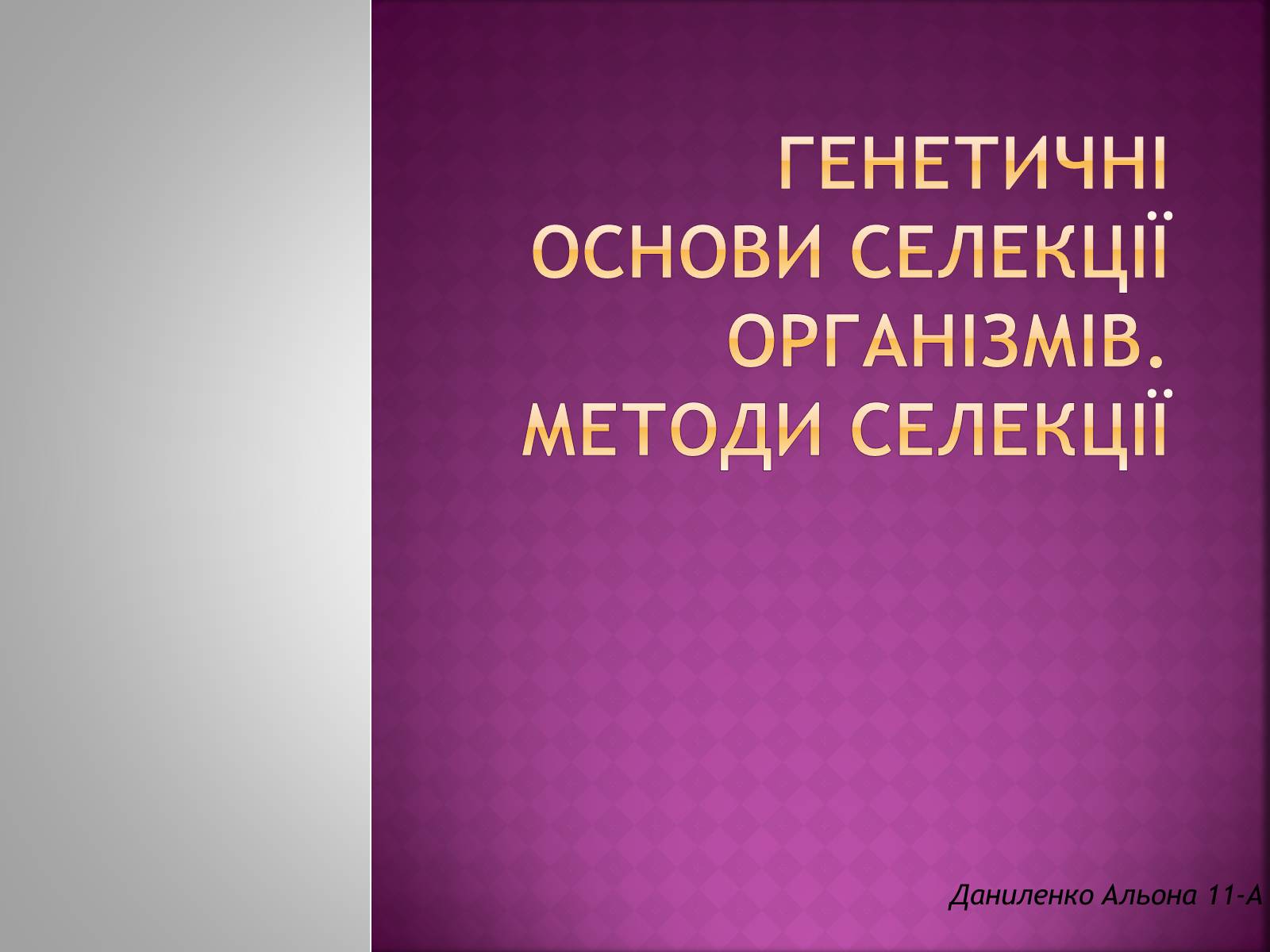 Презентація на тему «Генетичні основи селекції організмів» (варіант 1) - Слайд #1