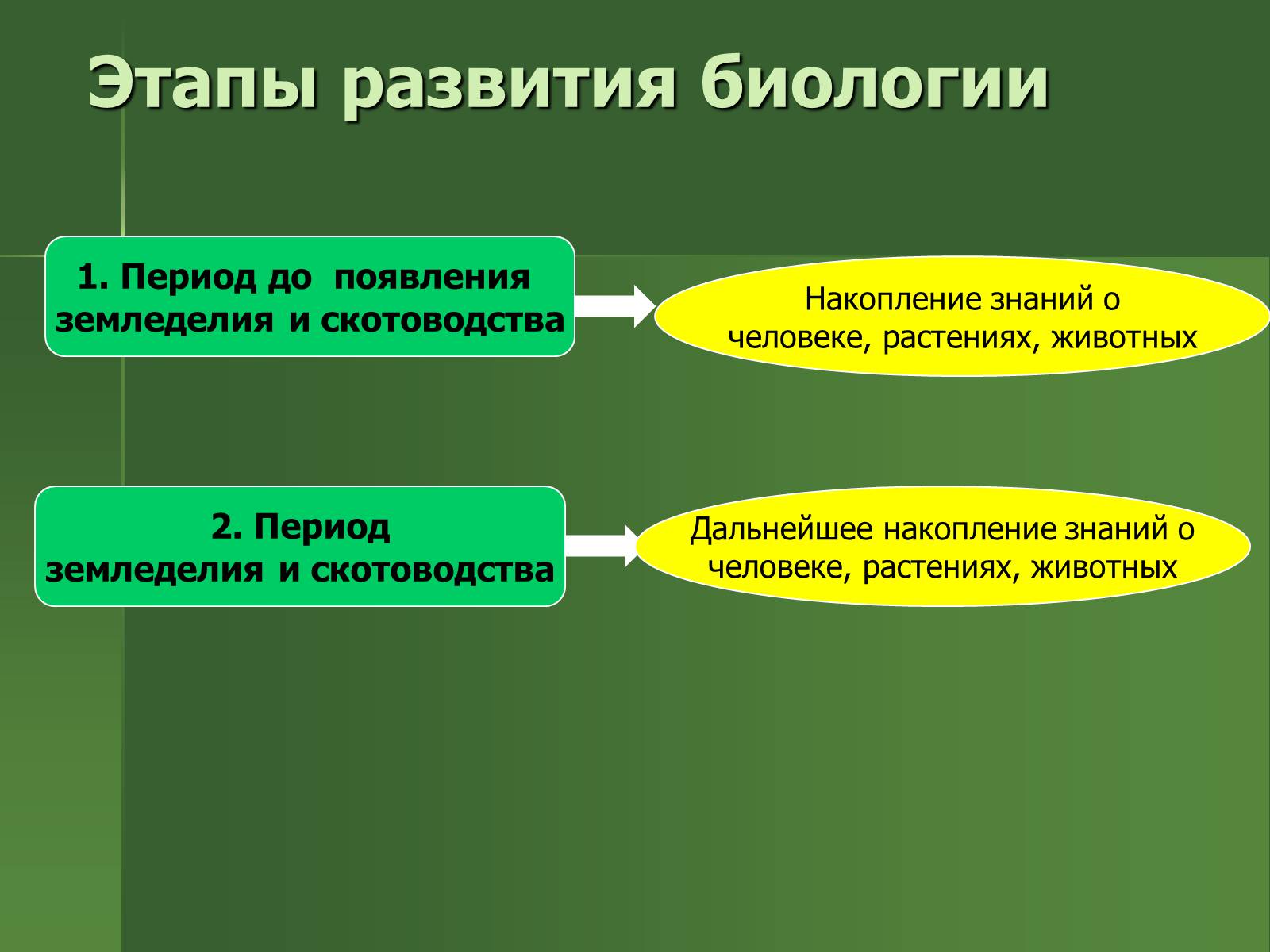 Презентація на тему «История развития биологии» - Слайд #5