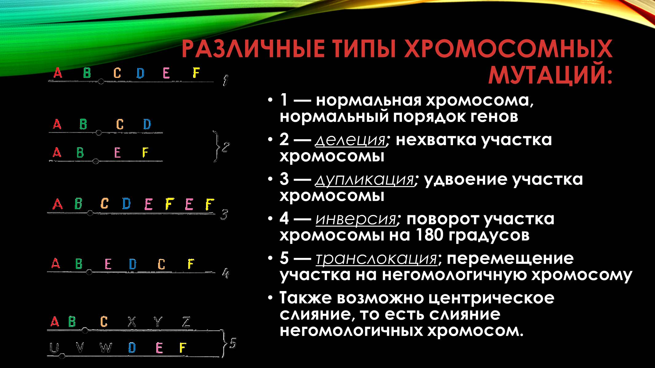 Исходная хромосома. Классификация хромосомных мутаций. Типы хромосомных мутаций таблица. Хромосомные мутации классификация и примеры. Классификация мутаций на хромосомном уровне.