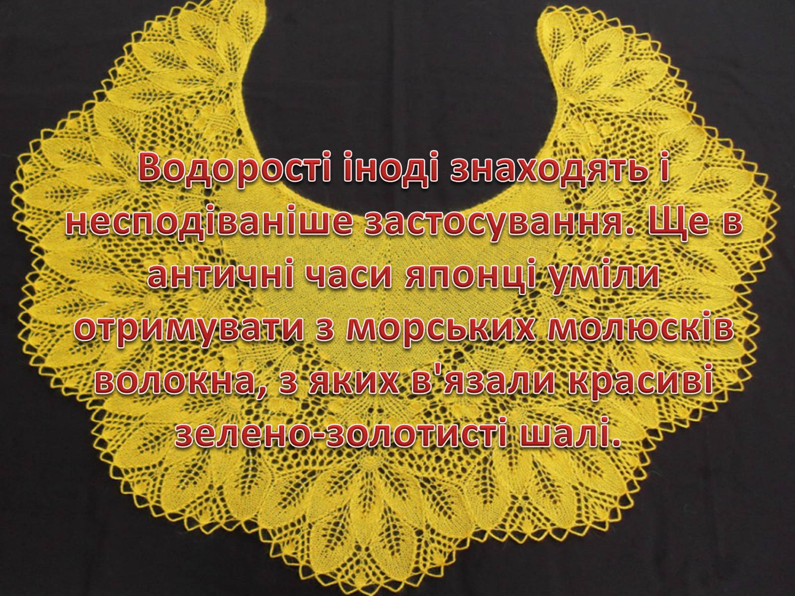 Презентація на тему «Значення водоростей у житті людини» - Слайд #8