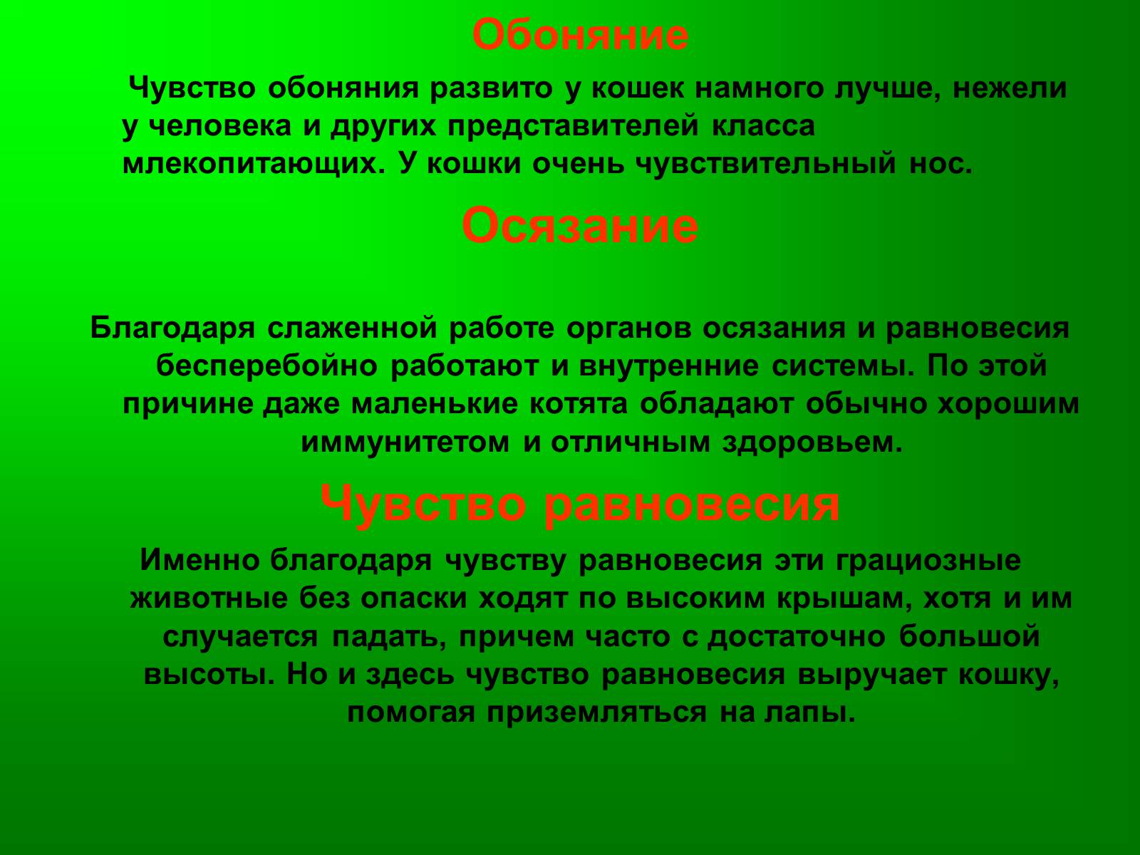 Презентація на тему «Семейство кошачьи» - Слайд #22