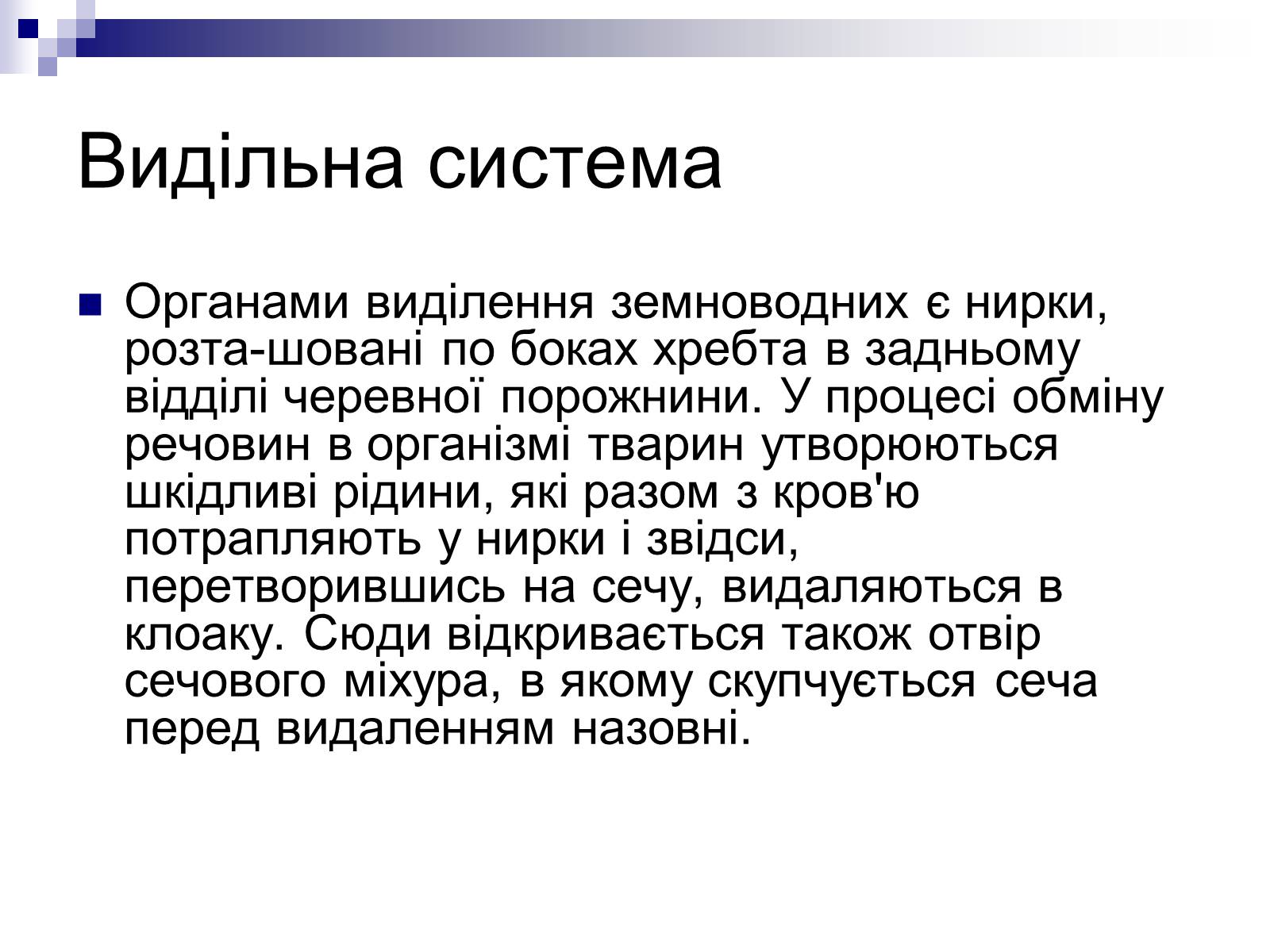 Презентація на тему «Земноводні» (варіант 1) - Слайд #12