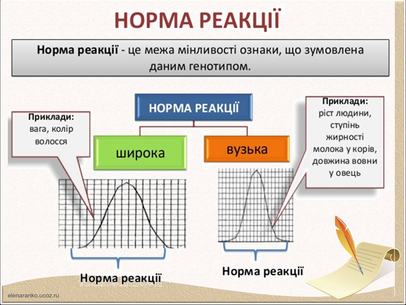 Презентація на тему «Модифікаційна мінливість» (варіант 1) - Слайд #8