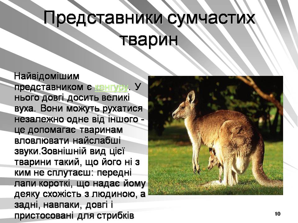 Презентація на тему «Австралія -Ноев ковчег для сумчастих тварин» - Слайд #10