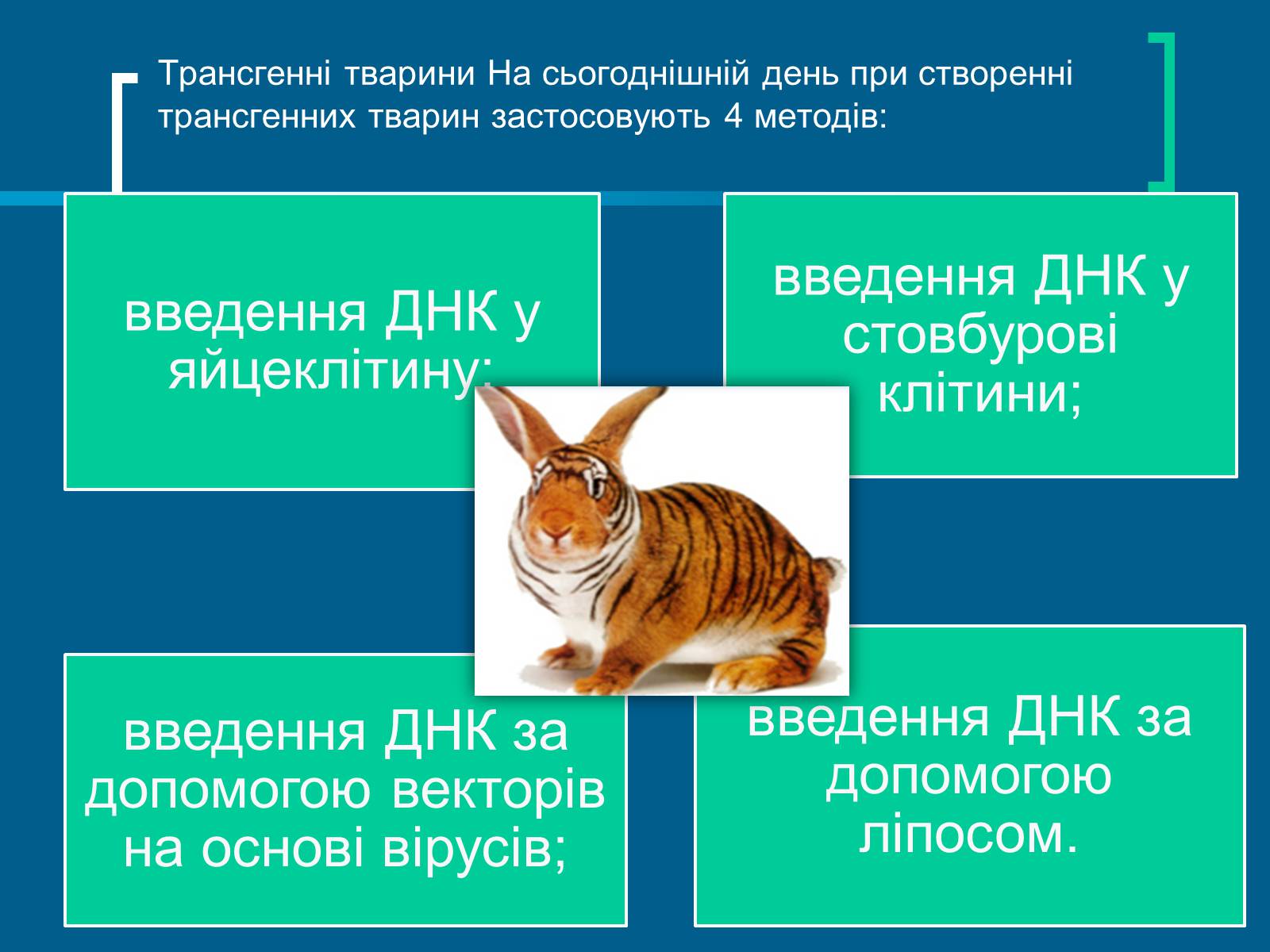 Презентація на тему «Трансгенні організми» (варіант 4) - Слайд #4