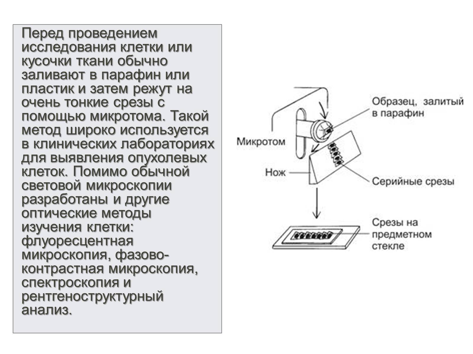 Методы исследования клетки. Методы изучения клетки. Метод тонких срезов вирусов. Аппарат для приготовления тонких срезов растений биология.