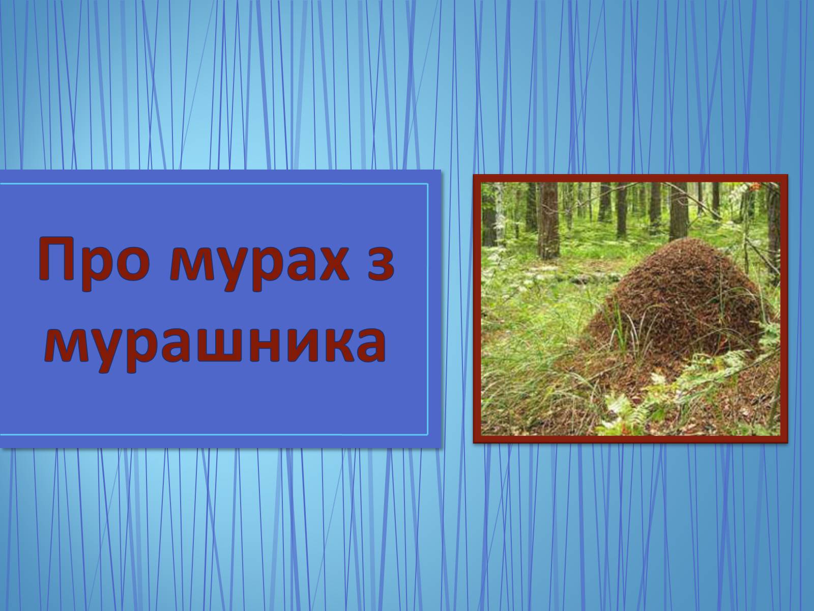 Презентація на тему «Про мурах з мурашника» - Слайд #1