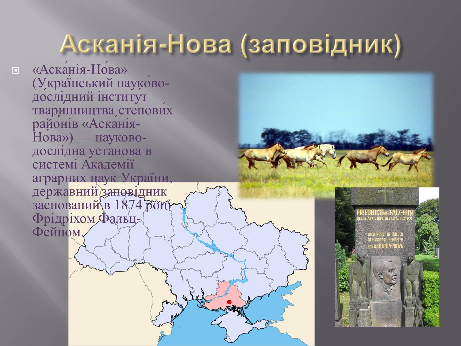 Презентація на тему «Біорізноманіття» (варіант 3) - Слайд #18