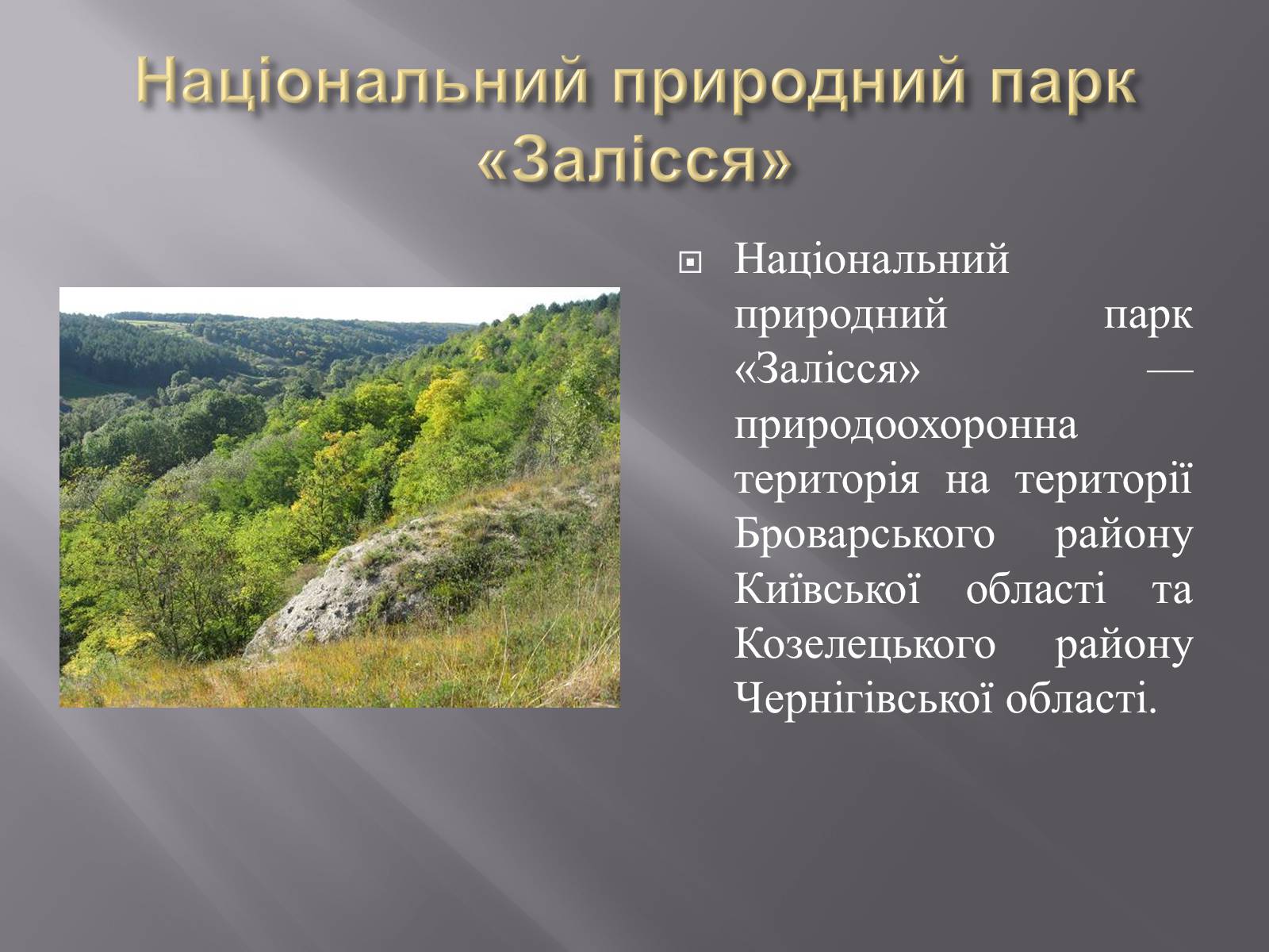 Презентація на тему «Біорізноманіття» (варіант 3) - Слайд #28