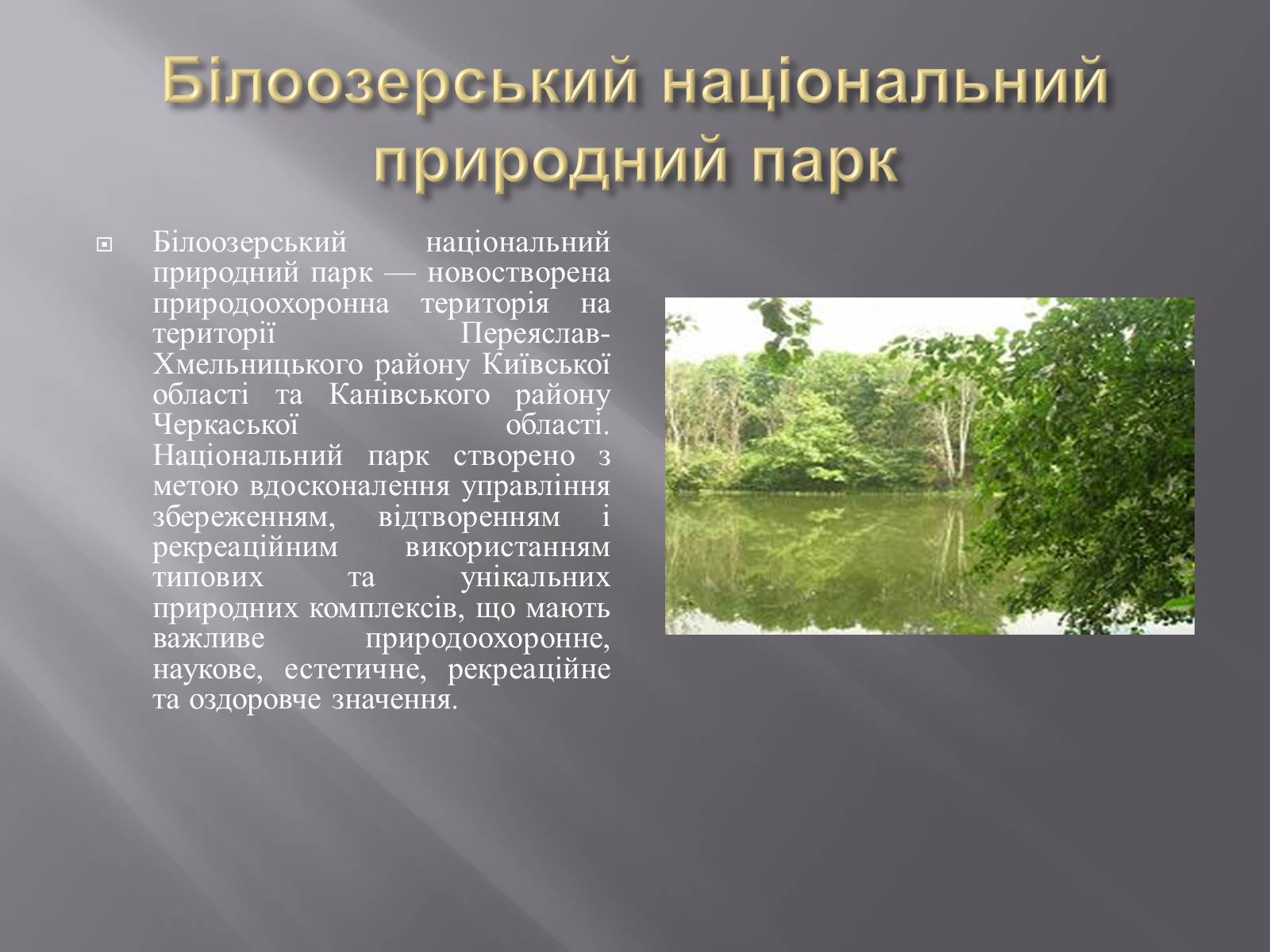 Презентація на тему «Біорізноманіття» (варіант 3) - Слайд #29