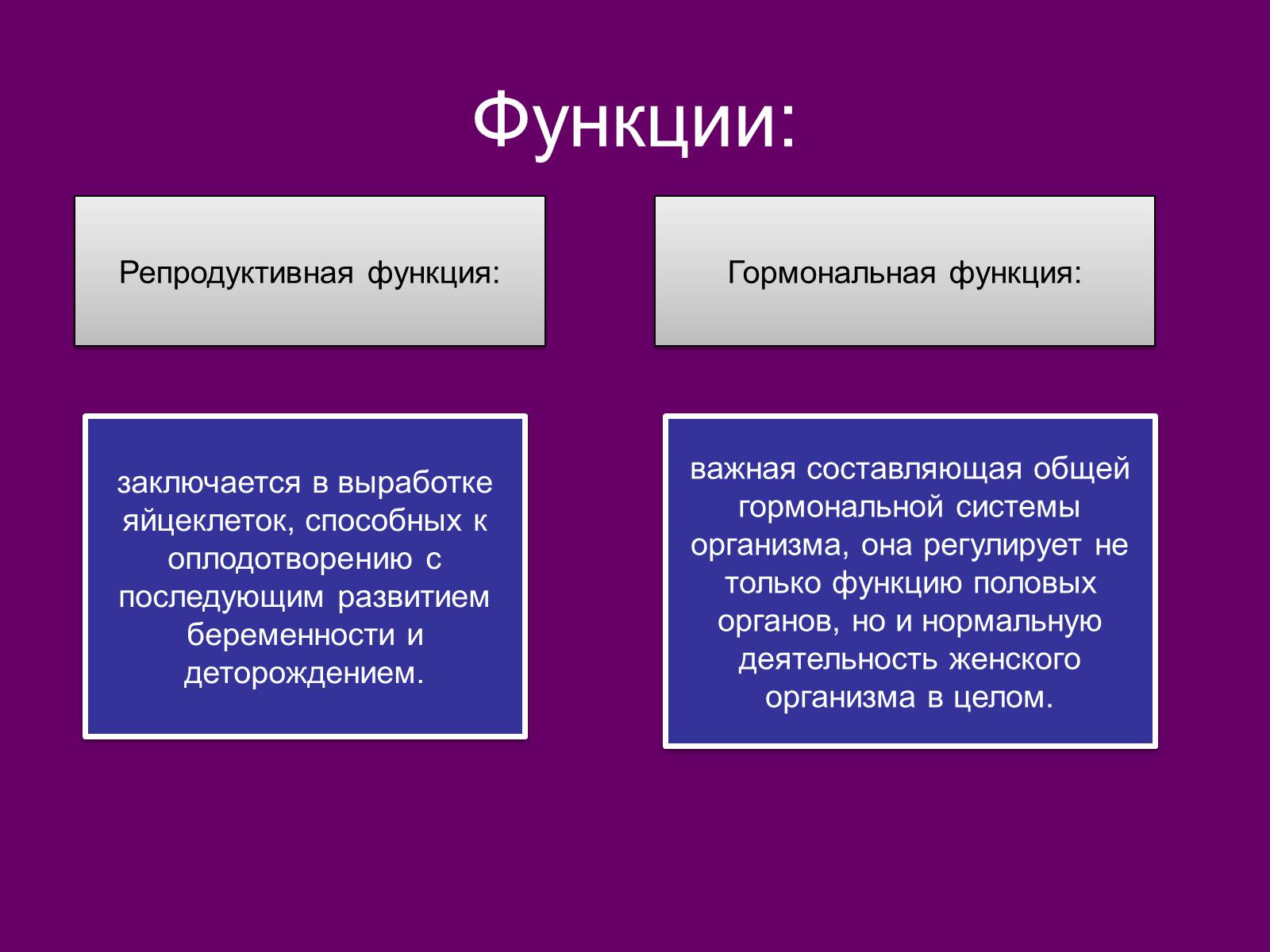 Презентація на тему «Половая система человека» (варіант 2) - Слайд #7