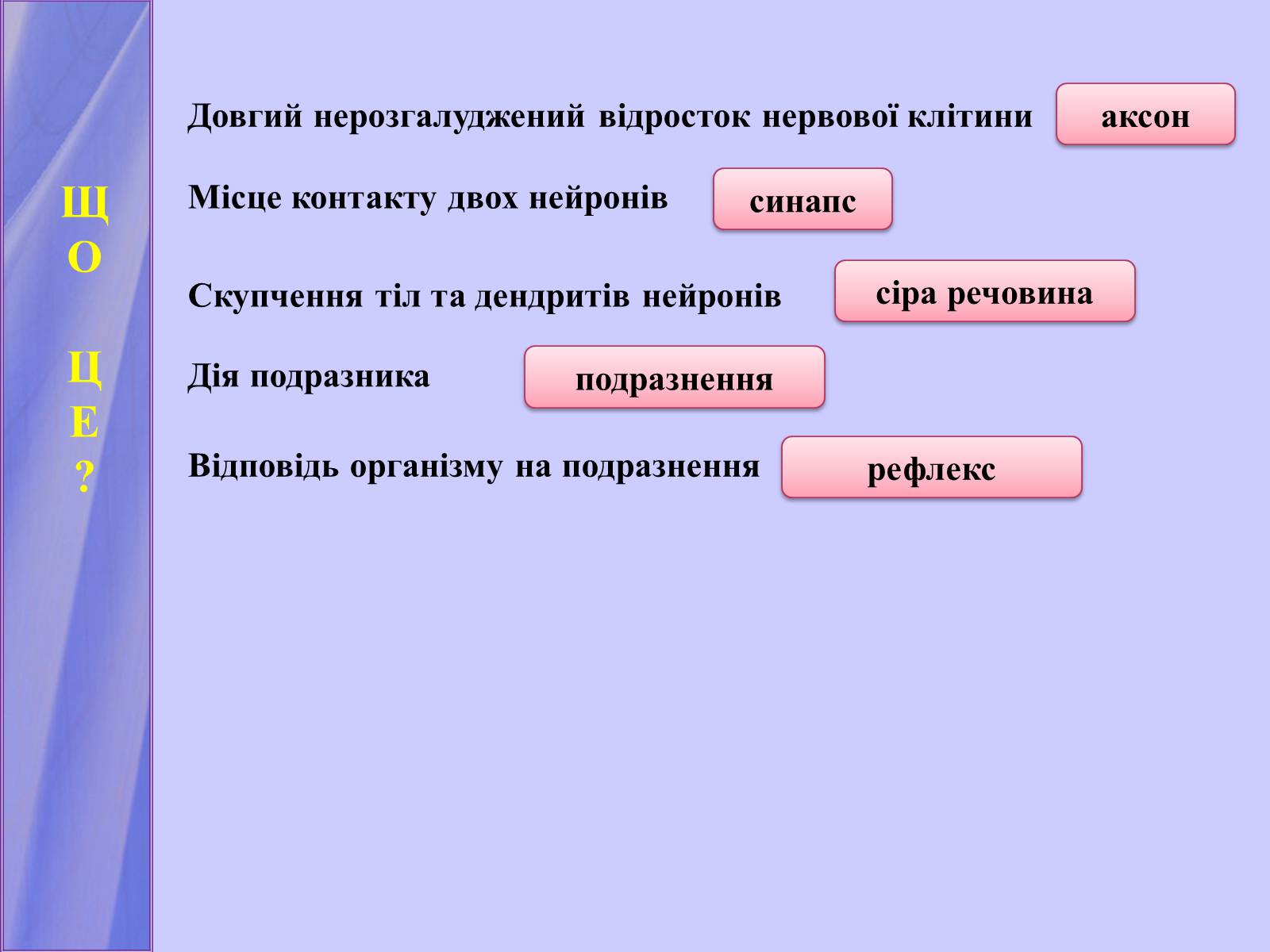 Презентація на тему «Нервова регуляція функцій організму» - Слайд #2