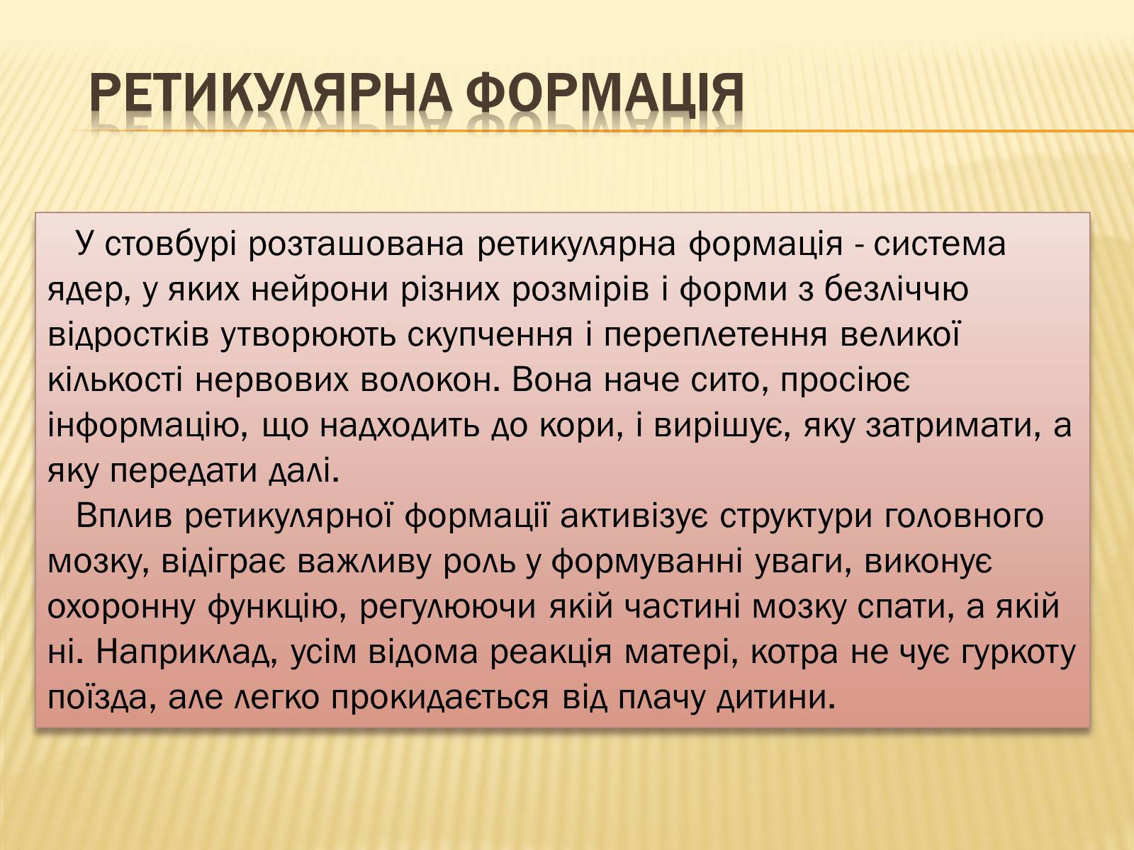 Презентація на тему «Головний мозок» (варіант 1) - Слайд #27