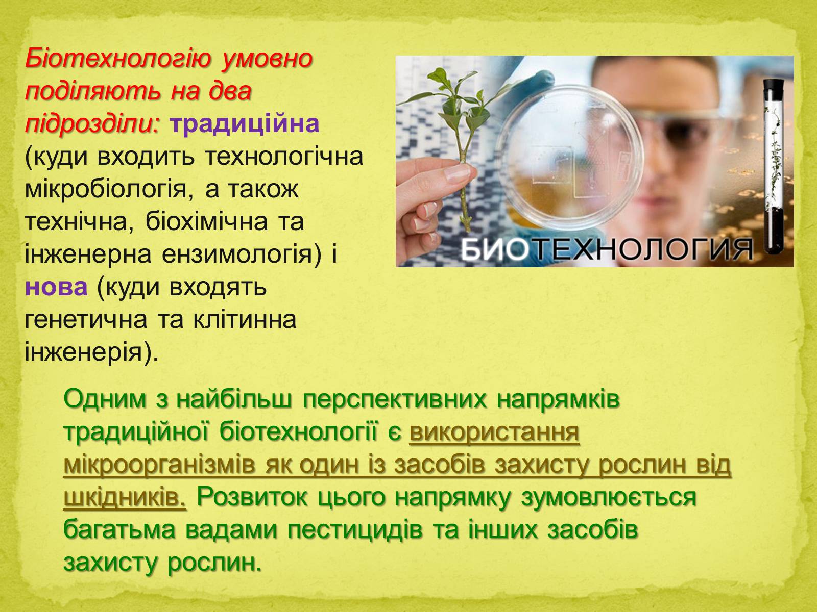 Презентація на тему «Основні напрямки сучасної біотехнології» (варіант 1) - Слайд #4