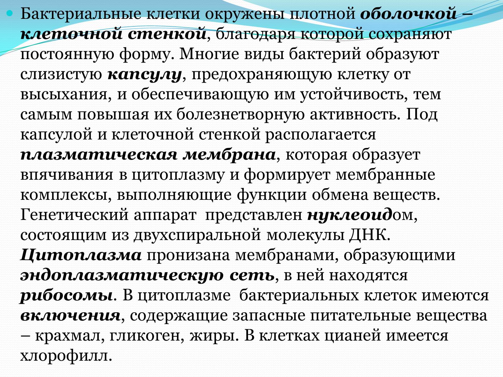 Презентація на тему «Прокариоты» (варіант 1) - Слайд #8