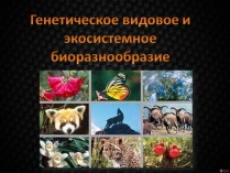 Презентація на тему «Генетическое видовое и экосистемное биоразнообразие»