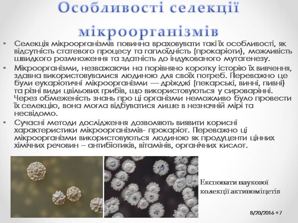 Презентація на тему «Генетичні основи селекції організмів» (варіант 2) - Слайд #7