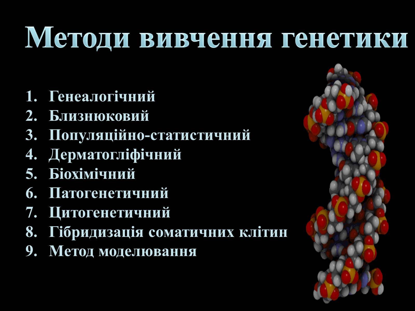 Презентація на тему «Генетика» (варіант 2) - Слайд #7