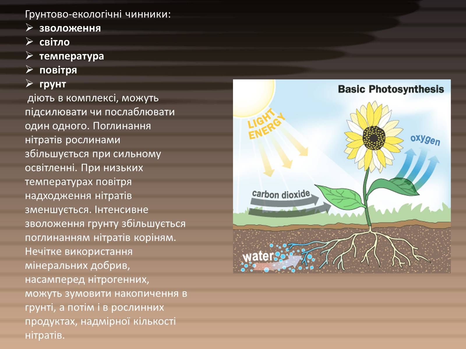 Презентація на тему «Вміст нітратів у харчових продуктах» - Слайд #6