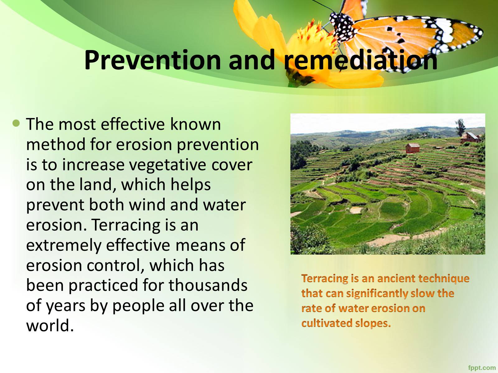 Презентація на тему «Environmental problems» (варіант 1) - Слайд #11