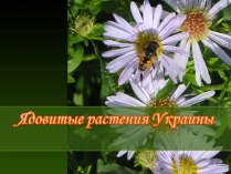 Презентація на тему «Ядовитые растения Украины»