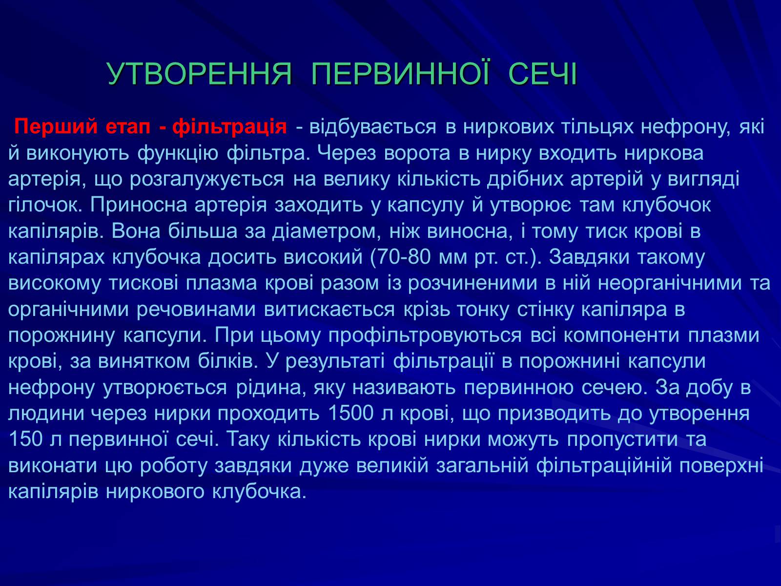 Презентація на тему «Будова видільної системи» - Слайд #5