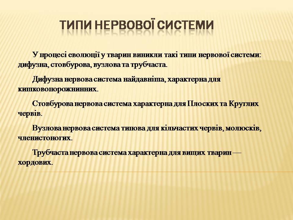 Презентація на тему «Нервова регуляція» (варіант 2) - Слайд #3