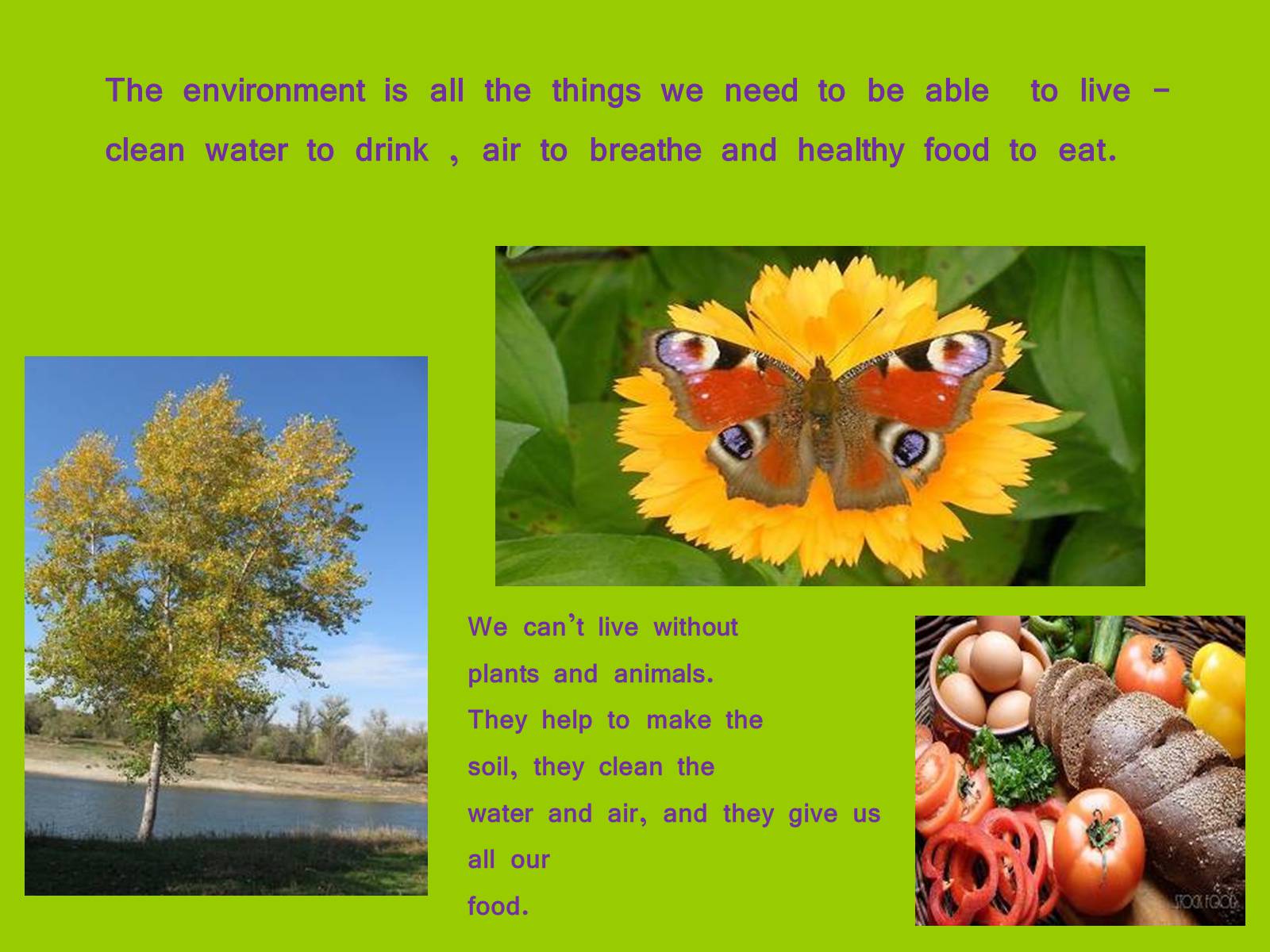 Презентація на тему «Environmental Protection» (варіант 1) - Слайд #3