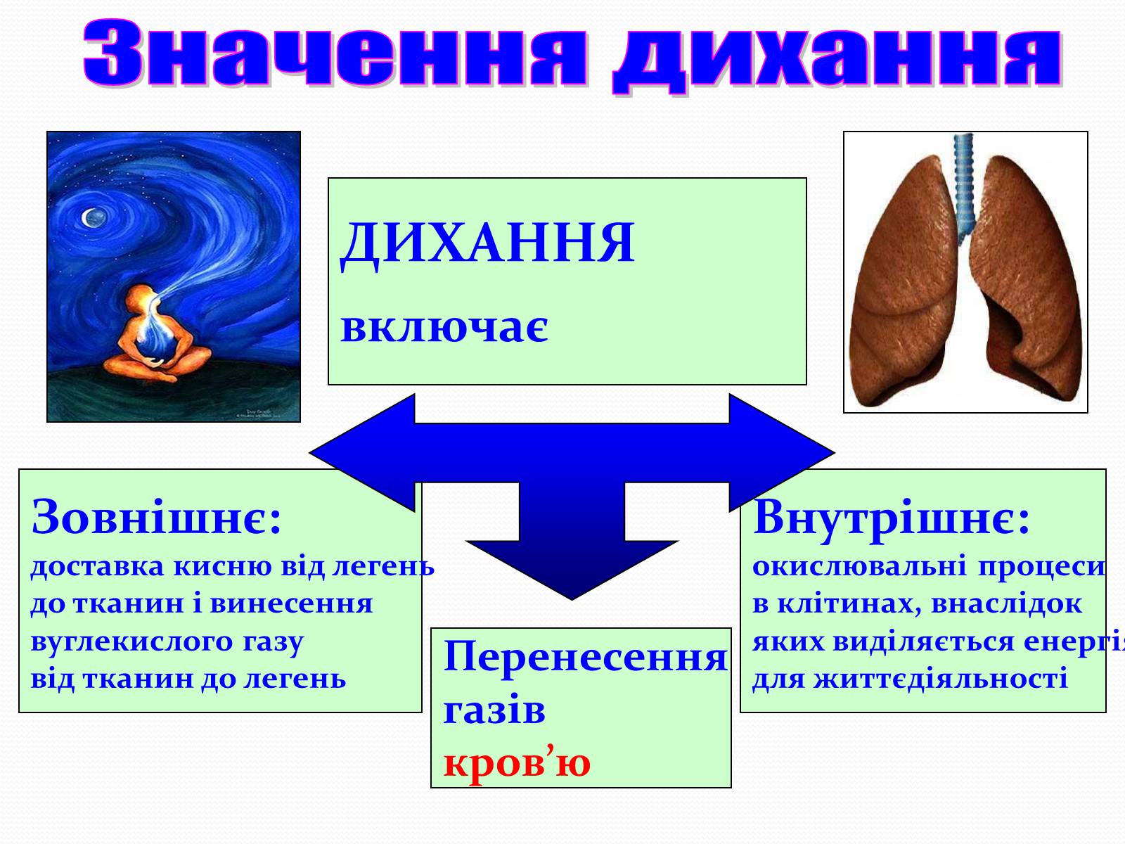 Значення. Дихання. Зовнішнє дихання. Дихальна система тварин. Презентация искусство и дихання.