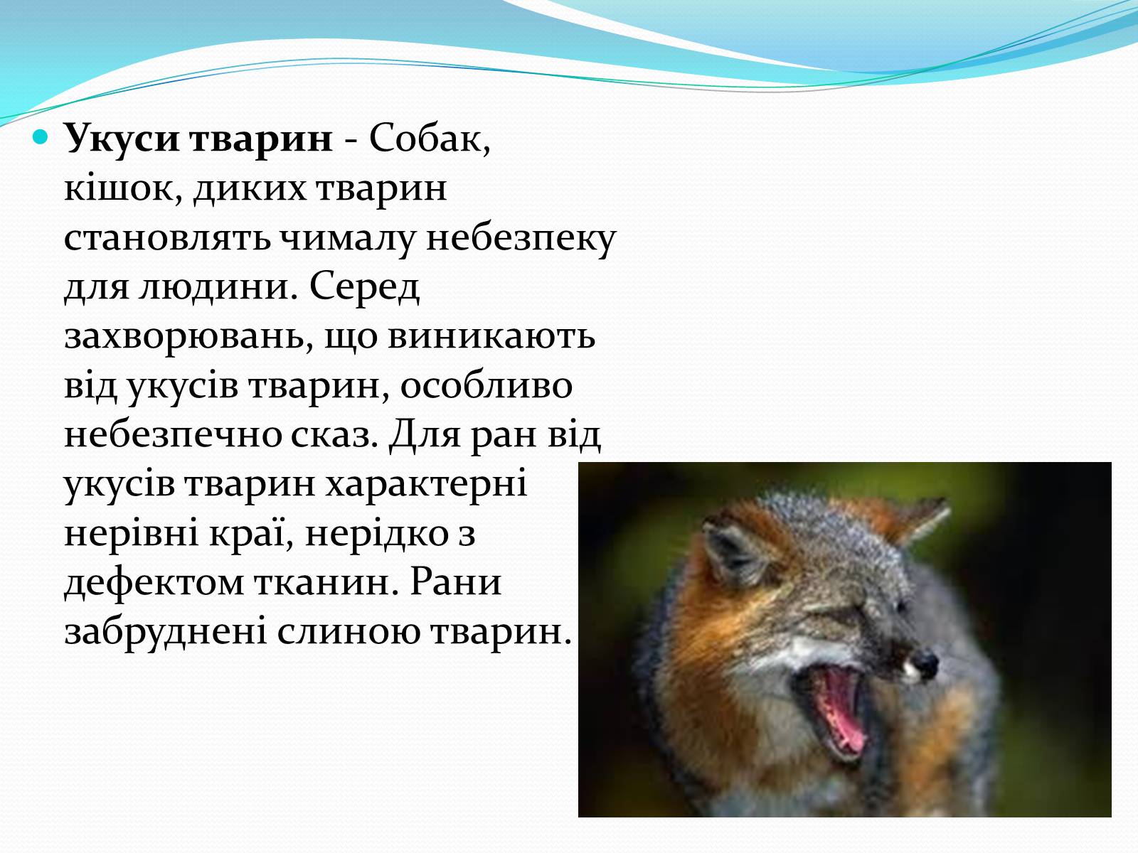 Презентація на тему «Укуси комах» - Слайд #12