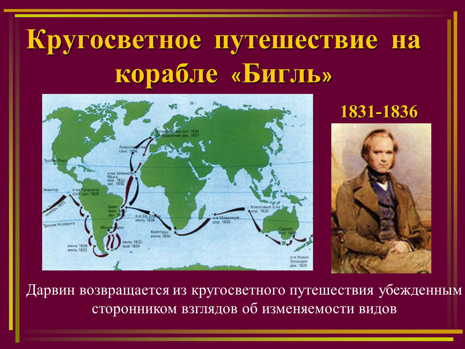 Презентація на тему «Дарвинизм» - Слайд #4