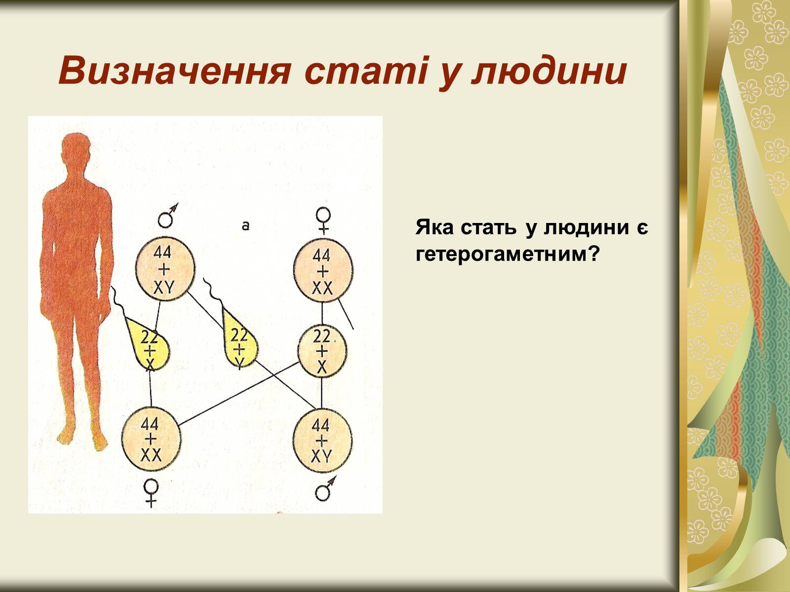 Презентація на тему «Генетика статі» - Слайд #5