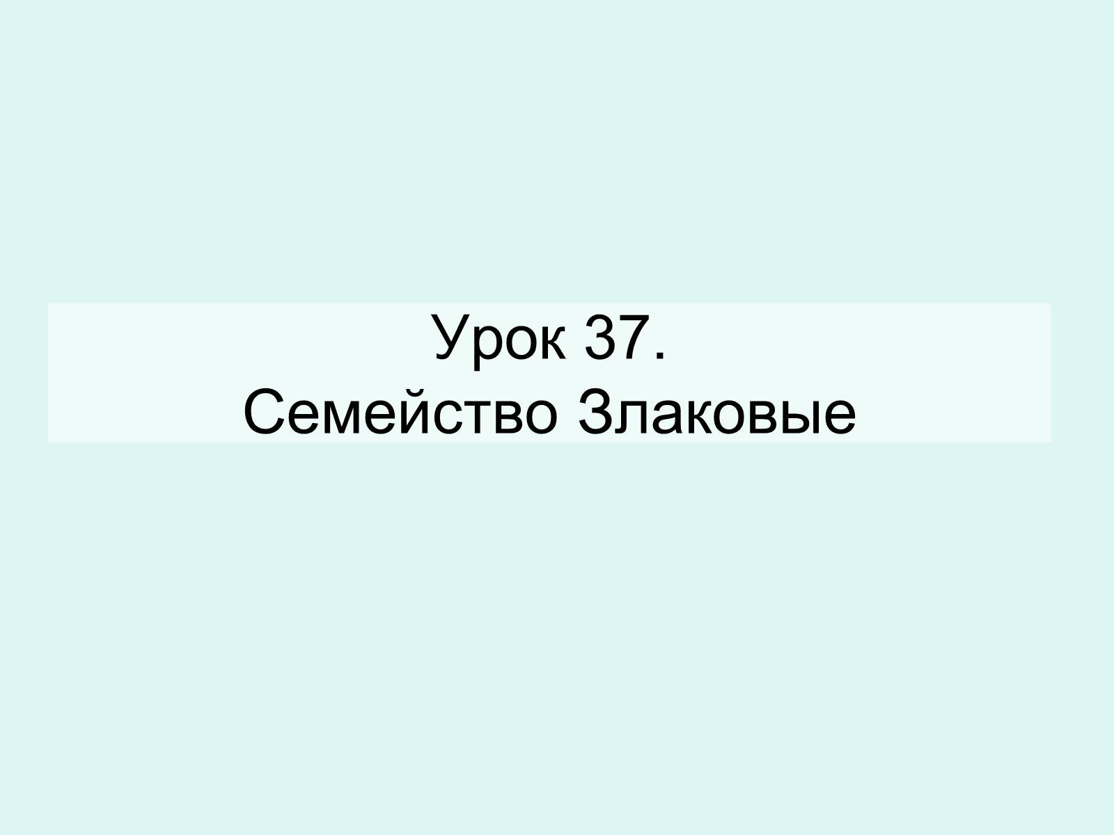 Презентація на тему «Семейство Злаковые» - Слайд #1