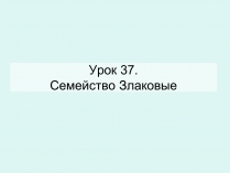 Презентація на тему «Семейство Злаковые»