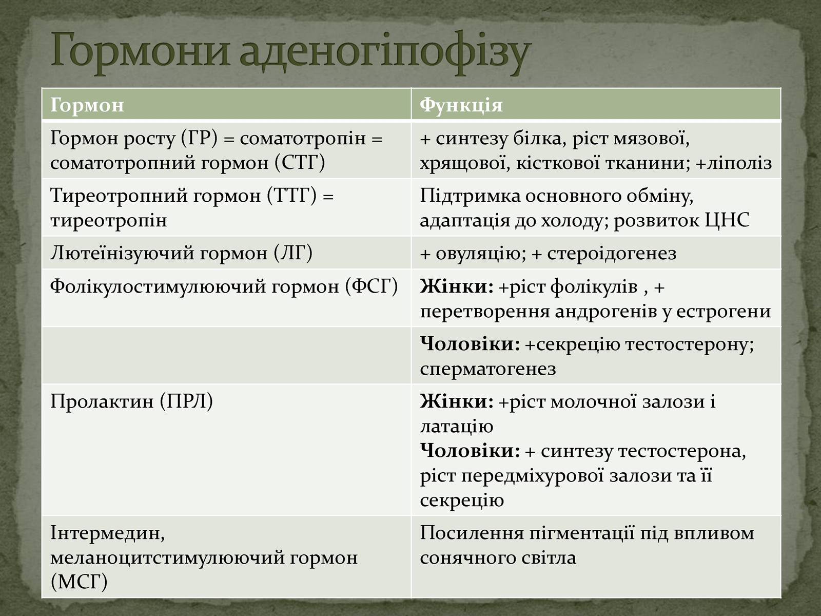 Презентація на тему «Ендокринна система» - Слайд #25