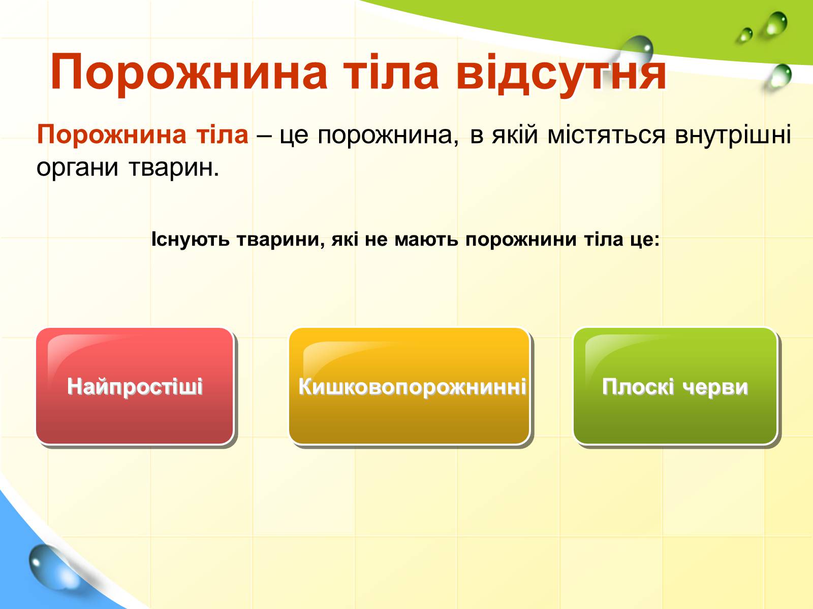 Презентація на тему «Порожнини тіла тварин» - Слайд #3